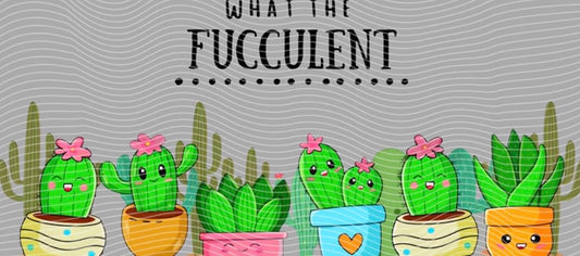 wtf succulent